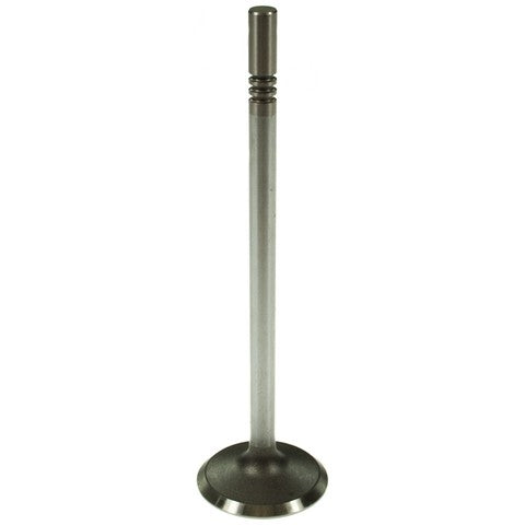 Engine Intake Valve Melling V1709