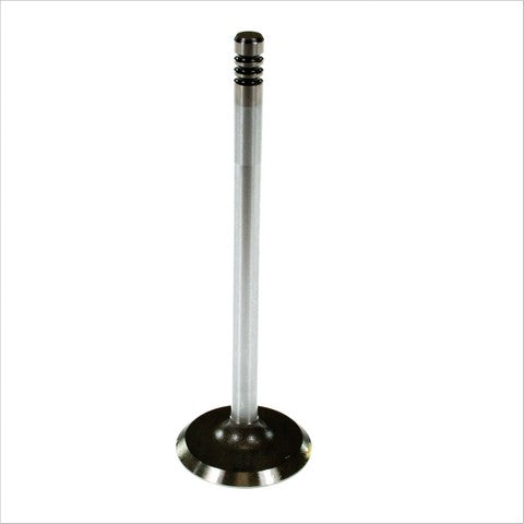 Engine Intake Valve Melling V1901