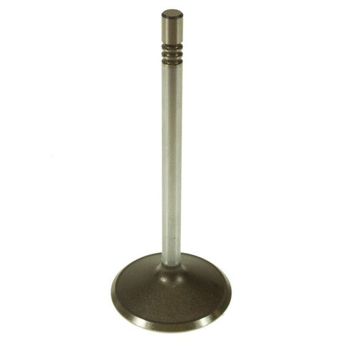 Engine Intake Valve Melling V1913