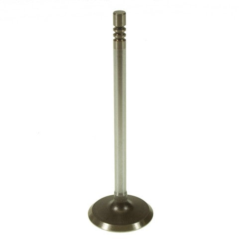 Engine Intake Valve Melling V1920