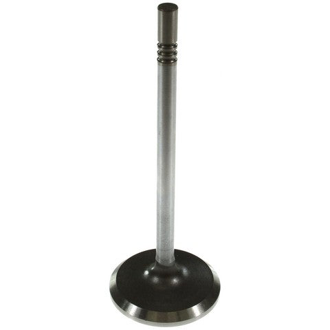 Engine Intake Valve Melling V1924