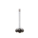 Engine Intake Valve Melling V1931
