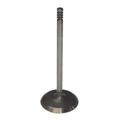 Engine Intake Valve Melling V1993