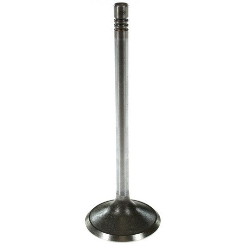 Engine Intake Valve Melling V1997