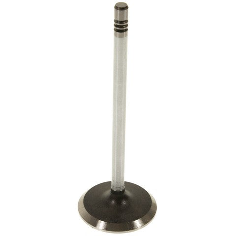 Engine Intake Valve Melling V1998
