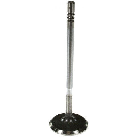 Engine Intake Valve Melling V2008