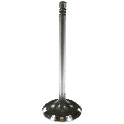 Engine Intake Valve Melling V2046