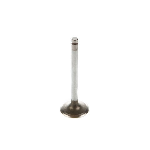 Engine Intake Valve Melling V5031