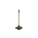 Engine Intake Valve Melling V5031