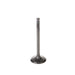 Engine Intake Valve Melling V5048