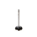 Engine Intake Valve Melling V5070