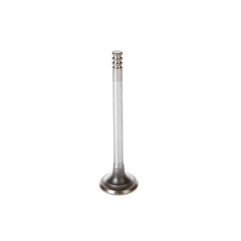 Engine Exhaust Valve Melling V5089