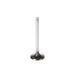 Engine Intake Valve Melling V5094