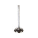 Engine Intake Valve Melling V5154
