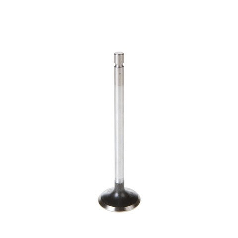 Engine Intake Valve Melling V5162