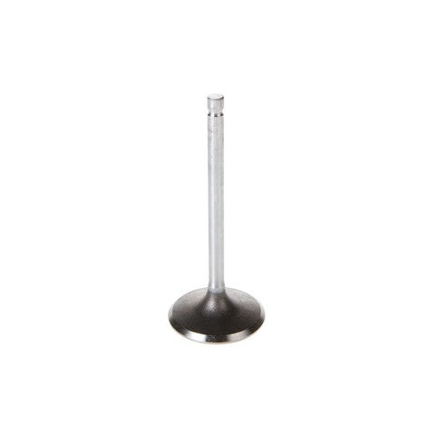 Engine Intake Valve Melling V5169