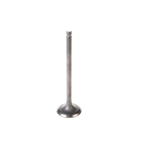 Engine Intake Valve Melling V5176