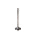 Engine Intake Valve Melling V5176
