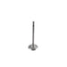 Engine Intake Valve Melling V5184