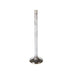Engine Intake Valve Melling V5186