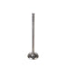 Engine Intake Valve Melling V5192