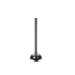 Engine Exhaust Valve Melling V5225