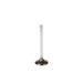 Engine Intake Valve Melling V5257
