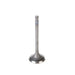 Engine Intake Valve Melling V5316