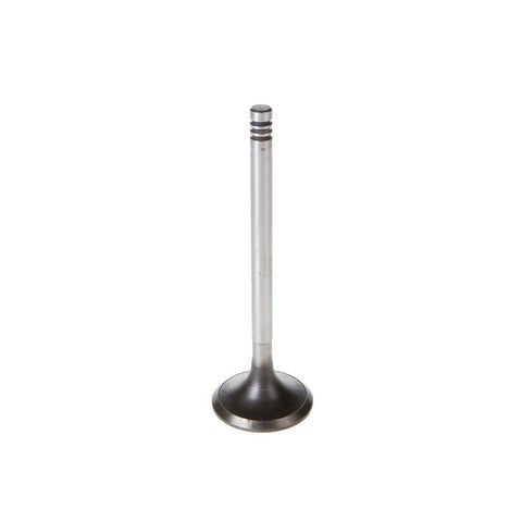 Engine Intake Valve Melling V5348