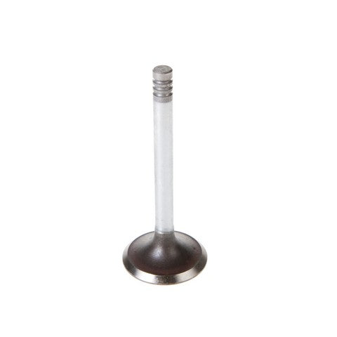 Engine Intake Valve Melling V5358