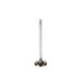 Engine Intake Valve Melling V5415