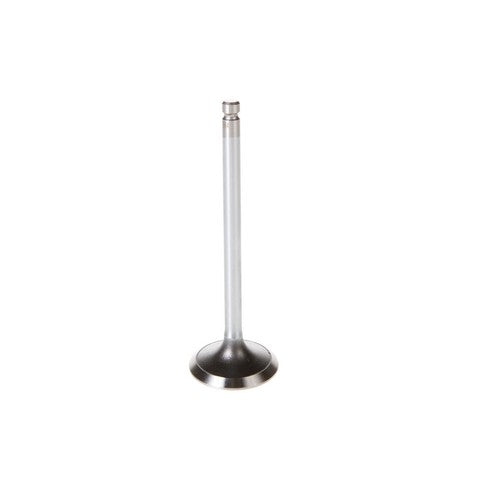 Engine Intake Valve Melling V5500