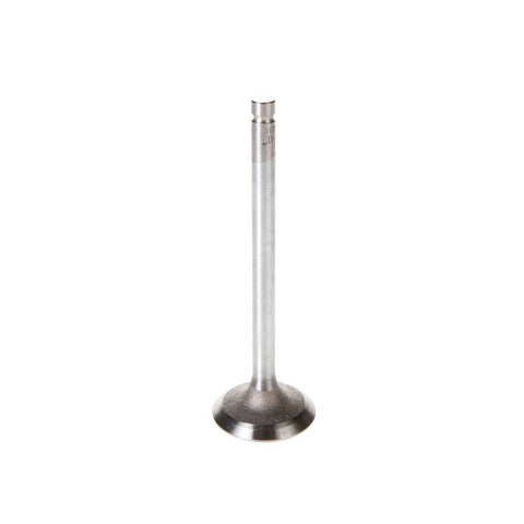 Engine Intake Valve Melling V5520