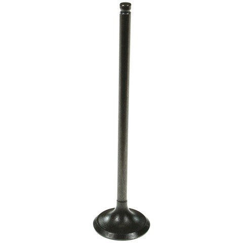 Engine Intake Valve Melling V5524