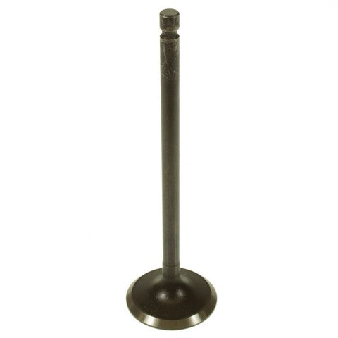 Engine Intake Valve Melling V5534