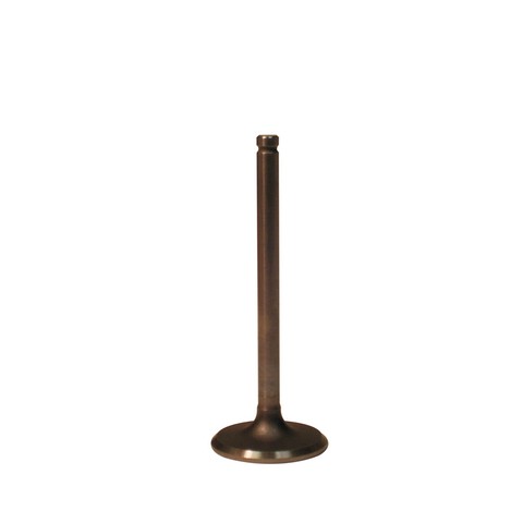 Engine Intake Valve Melling V5541
