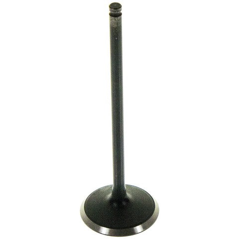 Engine Intake Valve Melling V5561
