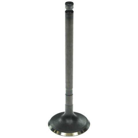 Engine Intake Valve Melling V5563