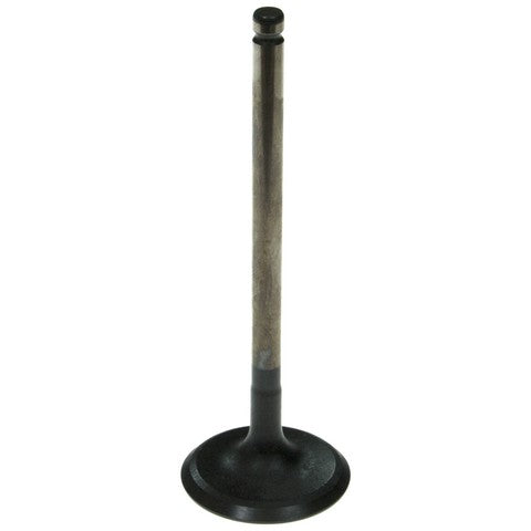 Engine Intake Valve Melling V5564