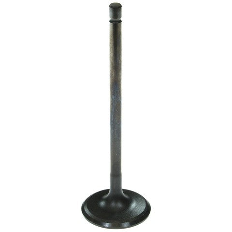 Engine Intake Valve Melling V5565