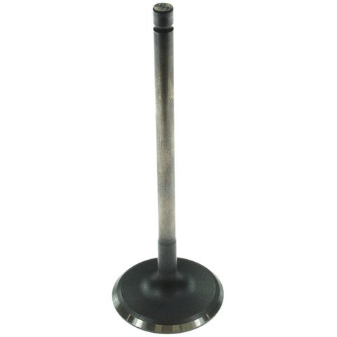 Engine Intake Valve Melling V5569