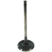 Engine Intake Valve Melling V5569