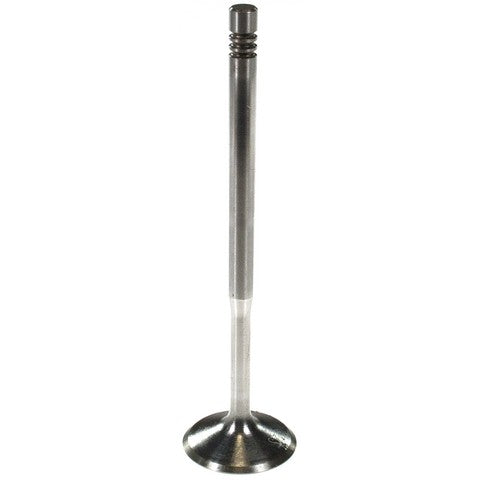 Engine Intake Valve Melling V5804S