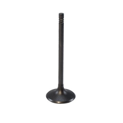 Engine Intake Valve Melling V5808