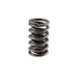 Engine Valve Spring Melling VS-2309