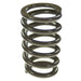 Engine Valve Spring Melling VS-2482