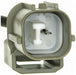 Engine Variable Valve Timing (VVT) Solenoid Gates VVS361