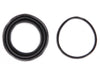Disc Brake Caliper Seal Kit Raybestos Brakes WK2020