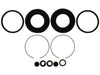 Disc Brake Caliper Seal Kit Raybestos Brakes WK2834