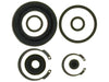 Disc Brake Caliper Seal Kit Raybestos Brakes WK3276
